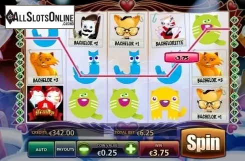 Win Screen 3. The Purrfect Match from BetConstruct