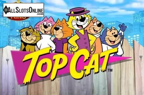 Top Cat