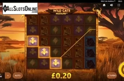 Win Screen 1. Wild Cats Multiline from Red Tiger