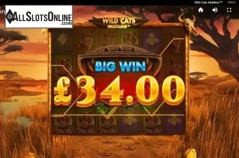 Big Win. Wild Cats Multiline from Red Tiger