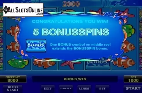 Screen7. Wild Shark from Amatic Industries