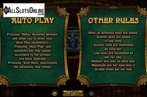 Rules. Witchs Brew (RTG) from RTG