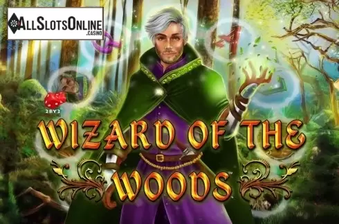 Wizard of the Woods
