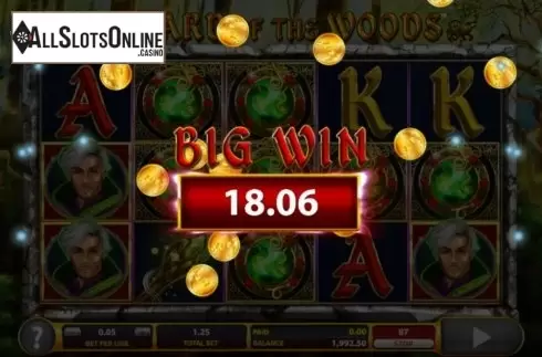 Big Win. Wizard of the Woods from 2by2 Gaming
