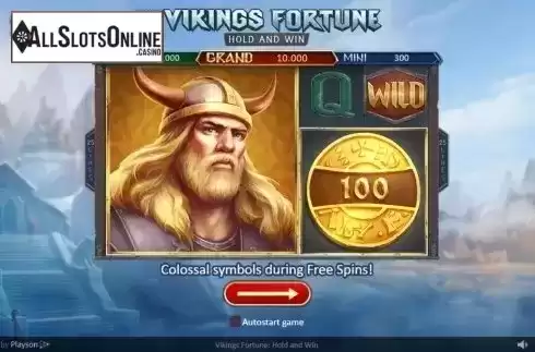 Intro 2. Vikings Fortune: Hold and Win from Playson
