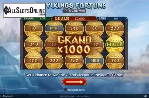 Intro 1. Vikings Fortune: Hold and Win from Playson