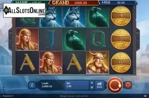 Reel Screen. Vikings Fortune: Hold and Win from Playson