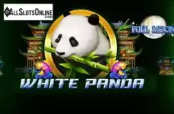 Full Moon White Panda