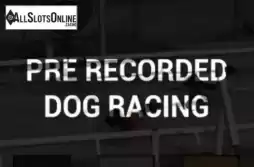 Pre-recorded Dog Racing