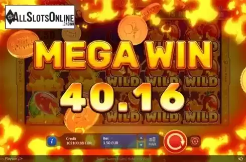 Mega Win. Super Sunny Fruits: Hold and Win from Playson