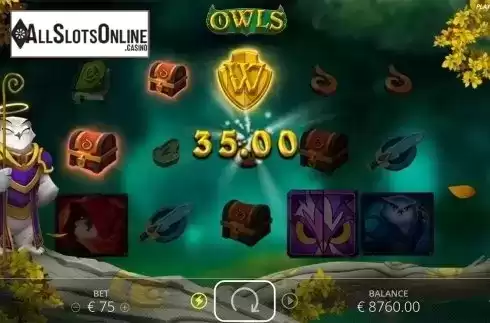 Wild win screen. Owls from Nolimit City