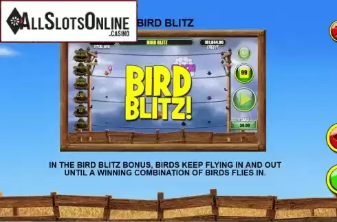 Screen6. Birdz from Games Warehouse