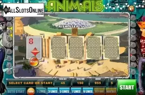 Gamble game . Animals (GameX) from GameX