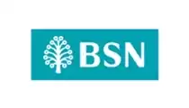 BSN Bank