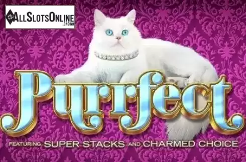 Purrfect. Purrfect from High 5 Games