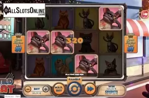 Win Screen. Wild Cat from Spinmatic