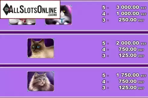 Screen3. 100 Cats from EGT