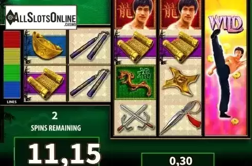 Free spins. Bruce Lee from WMS