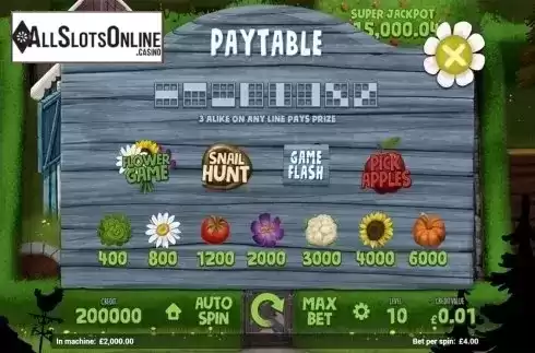 Paytable. Homegrown from Magnet Gaming