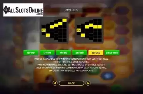 Paylines screen. Angry Bees from GamePlay