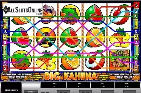 Screen4. Big Kahuna from Microgaming