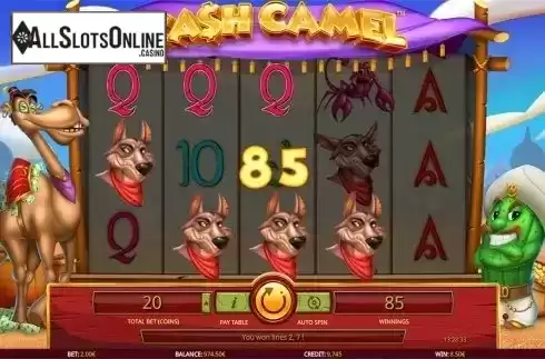 Win screen. Cash Camel from iSoftBet