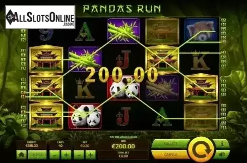 Wild Win screen. Panda's Run from Tom Horn Gaming