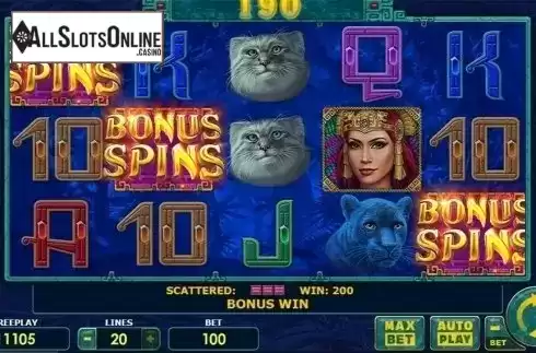 Bonus spins screen. Super Cats from Amatic Industries