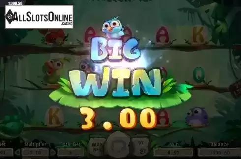 Big Win. Bird Island from Dream Tech