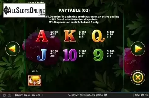Paytable 2. China River from Bally