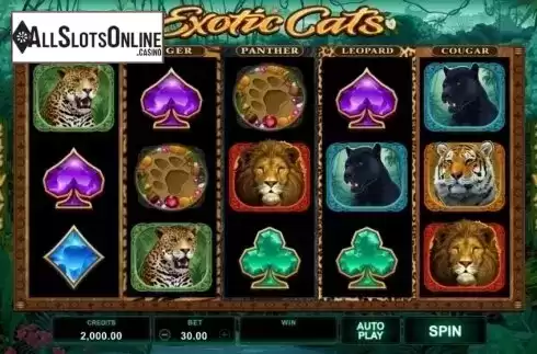 Game Workflow screen . Exotic Cats from Microgaming