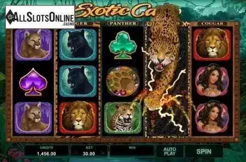 Expamding Wild Screen. Exotic Cats from Microgaming