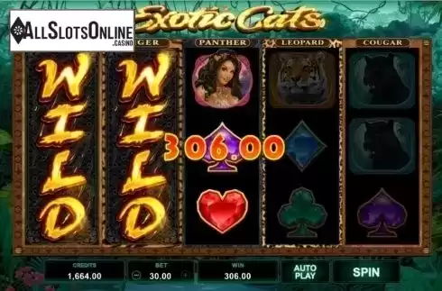 Win Screen 4. Exotic Cats from Microgaming