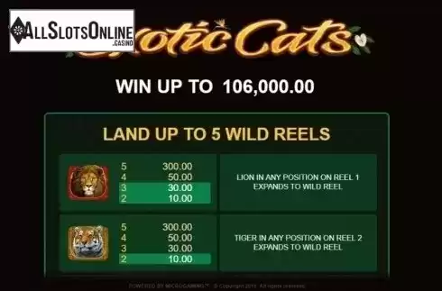 Paytable 1. Exotic Cats from Microgaming
