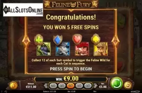 Free Spins 1. Feline Fury from Play'n Go
