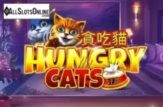 Hungry Cats. Hungry Cats from Aspect Gaming