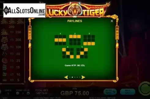 Paylines. Lucky Tiger (Rocksalt Interactive) from Rocksalt Interactive
