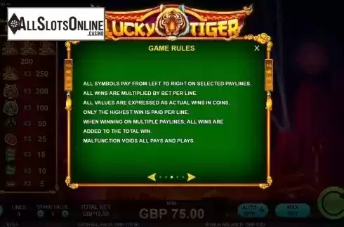Game Rules. Lucky Tiger (Rocksalt Interactive) from Rocksalt Interactive