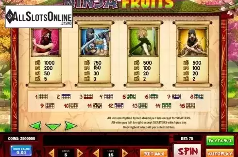 Paytable 3. Ninja Fruits from Play'n Go