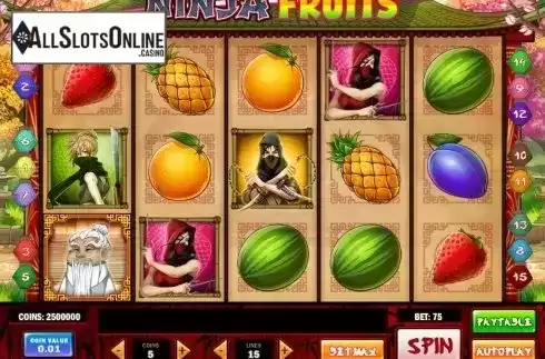 Reels. Ninja Fruits from Play'n Go