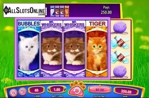 Scatter win screen. OMG! Kittens from WMS