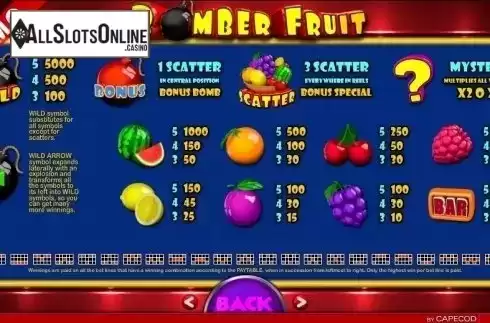 Paytable 1. Bomber Fruit from Capecod Gaming