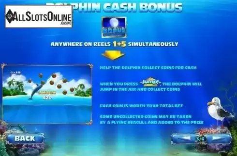Paytable 3. Dolphin Cash from Playtech