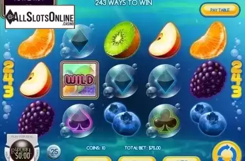Win Screen. Fruit Splash from Rival Gaming