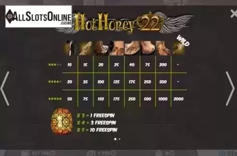 Screen2. Hot Honey 22 from MrSlotty