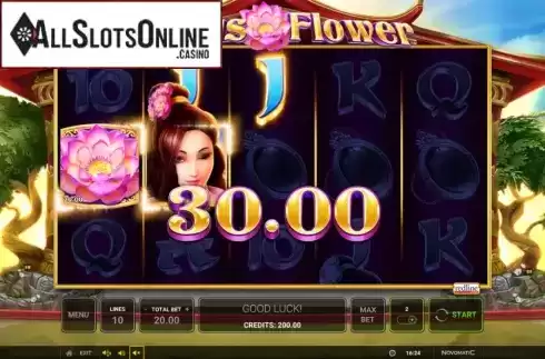 Win screen 3. Lotus Flower from Greentube
