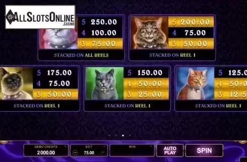Screen4. Pretty Kitty from Microgaming