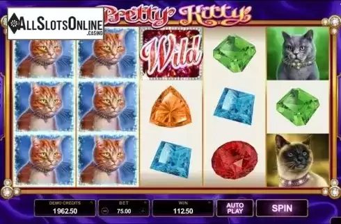 Screen7. Pretty Kitty from Microgaming