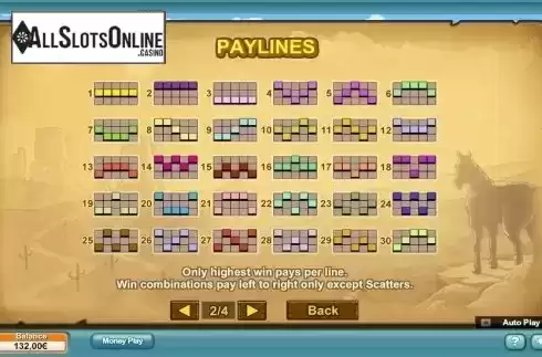 Paytable 2. Reel Bandits from NeoGames