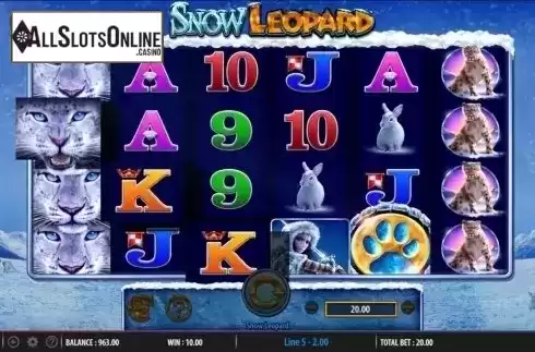 Win screen. Snow Leopard from WMS